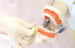 草加駅にあるなかつか歯科医院の予防歯科のイメージ